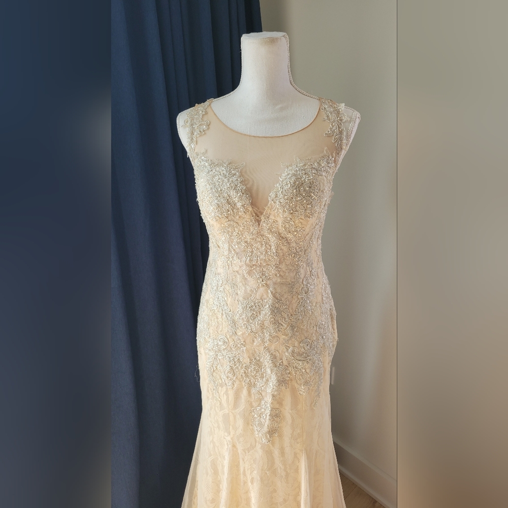 DAVIDS BRIDAL | Champagne Lace Beaded Dress - Picture 5 of 16